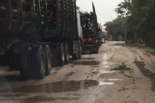 Treated poles at customer facility on a wet day